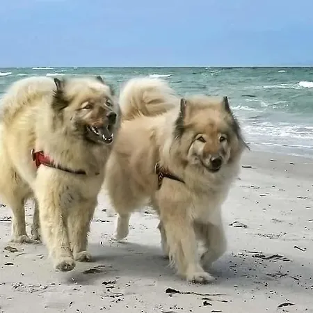 Fischerblick Haushälfte Apartment