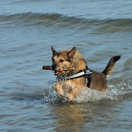 Fischerblick Haushälfte Apartment *