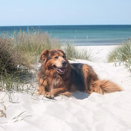 Fischerblick Haushälfte Apartment