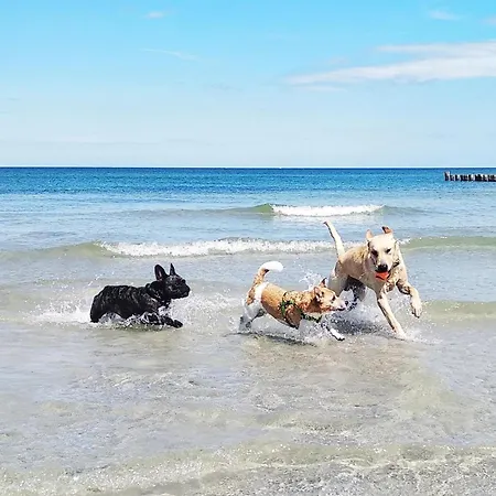 Apartment Fischerblick Haushälfte Stahlbrode