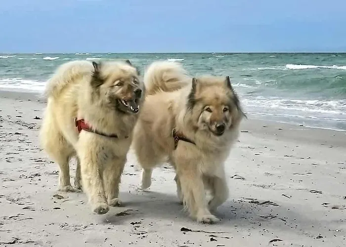 Fischerblick Haushaelfte Apartamento