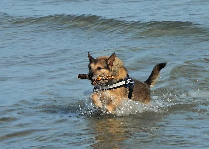 Fischerblick Haushaelfte Apartamento *