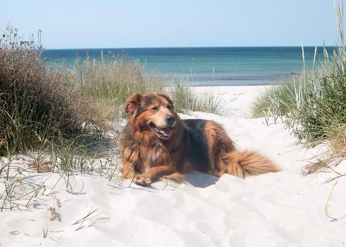 Fischerblick Haushaelfte Apartamento