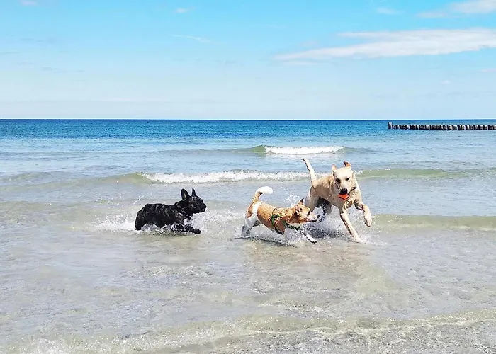 Apartamento Fischerblick Haushaelfte Stahlbrode